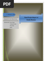 PDF Document