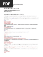 PDF Documento
