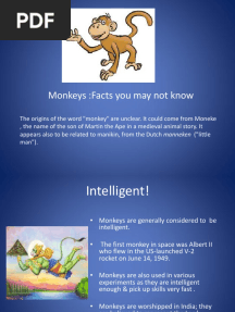 Monkeys:Facts You May Not Know