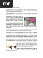 Digital Photography Tips.pdf