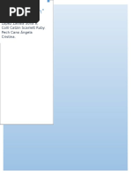 PDF Document
