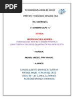 PDF Documento
