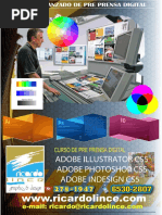 PDF Documento