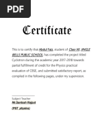 PDF Document