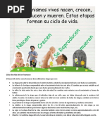 PDF Documento