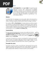 PDF Documento