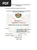 PDF Documento