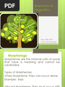 7 Branches