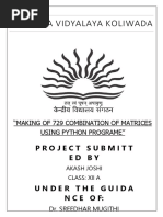 PDF Document