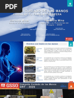 PDF Documento