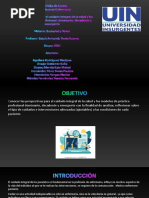 PDF Documento