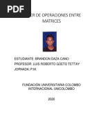 PDF Documento