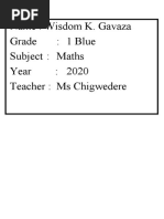 PDF Document