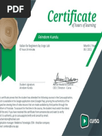 PDF Document