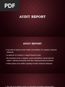 Audit Report