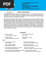 PDF Documento