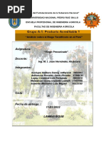 PDF Documento