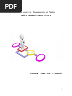 PDF Documento