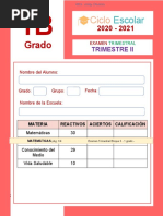 PDF Documento