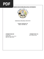 PDF Document