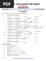 PDF Document