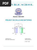 PDF Document