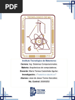 PDF Documento