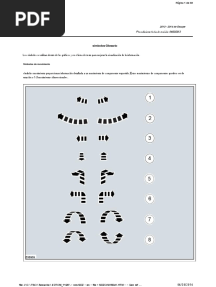 Ford Escape (2012-2017) Manual de Taller