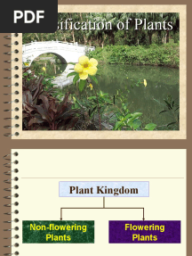 Classification of Plants 2nd Powerpoint