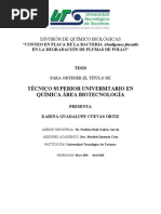 PDF Documento