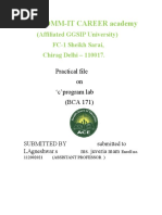 PDF Document