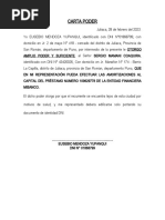 PDF Documento