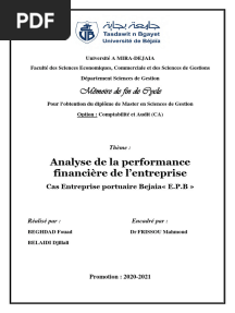 Analyse de La Performance Financière de L'entreprise