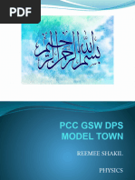 PDF Document