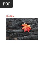 PDF Document
