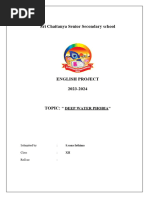 PDF Document