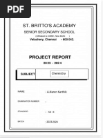 PDF Document