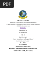 PDF Document
