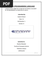 PDF Document