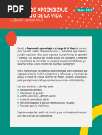 PDF Documento