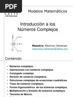 PDF Documento