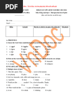 PDF Document