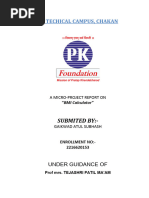 PDF Document