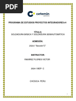 PDF Documento