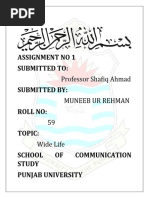 PDF Document