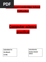 PDF Document