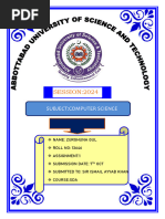 PDF Document