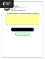 PDF Document