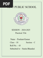 PDF Document