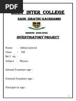 PDF Document